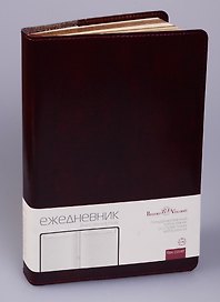 Ежедневник недат. А5 208л "PROFY" коричневый, иск.кожа, золотой обрез, ляссе, Bruno Visconti