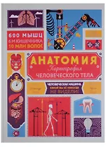 Анатомия Картография человеческого тела (илл. Тавернье) (МвН) Гишар