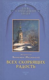 Всех скорбящих Радость. Молитвы Божией Матери учение церкви о ней и новые чудеса ее
