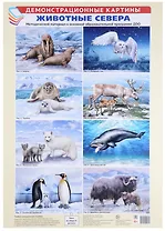 Демонстрационные картины «Животные Севера» (8 картин+этикетка с текстом)