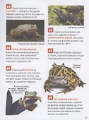 Удивительные животные. 250 фактов. Энциклопедия российского школьника - 2