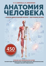 Анатомия человека. Опорно-двигательный аппарат, внутренние органы