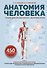 Анатомия человека. Опорно-двигательный аппарат, внутренние органы - 0