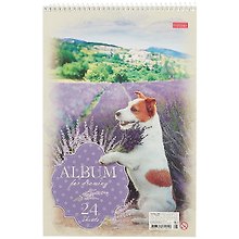 Альбом для рисования «Ассорти» Hatber А4, 24 листа, спираль