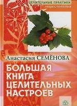 Большая книга целительных настроев