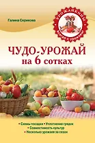 Чудо-урожай на 6 сотках