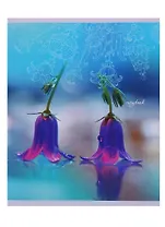 Тетрадь в клетку Unnika, "Хрустальная роса", 48 листов, в ассортименте