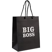 Пакет А5 23*18*10 "Big boss.Basic" нейтр., бум.мат.ламинат