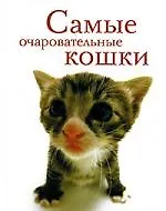 Самые очаровательные кошки