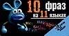 10 фраз на 11 языках