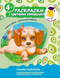 Раскраски с цветными образцами. Щенок