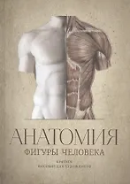 Анатомия фигуры человека. Краткое пособие для художников. Выпуск 1. Учебное пособие