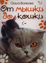 От мышки до кошки