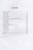 Айна из Замка. Книга Айны - 1