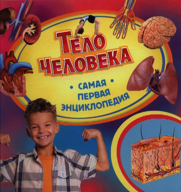

Тело человека