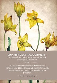 Блокнот «Ботаническая иллюстр. Зел.», Эксмо