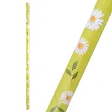 Бумага упаковочная 70*100см "Ромашки на салатовом" глянц., инд.уп.