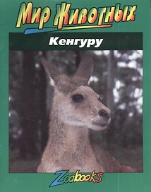 Кенгуру