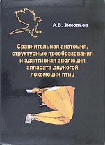 Сравнительная анатомия, структурные преобразования и адаптивная эволюция аппарата двуногой локомоции птиц