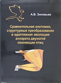 Сравнительная анатомия, структурные преобразования и адаптивная эволюция аппарата двуногой локомоции птиц