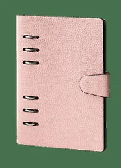 Тетрадь на кольцах в клетку InFolio, Study, 80 листов, розовая