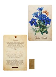 Плакетка Горечавка (1PB_005) 18х12)
