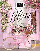 London in Bloom - 0