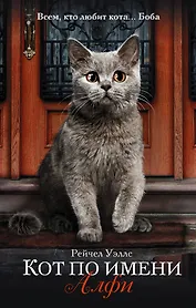Кот по имени Алфи