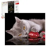 Набор для творчества. Алмазная мозаика на подрамнике "Грация кошки", 40 х 50 см