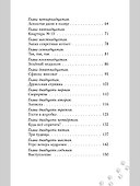Котлетное расследование кота Страуса - 2
