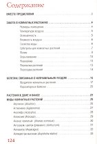 Комнатные растения.
