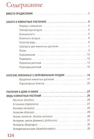 Комнатные растения.