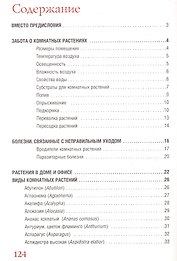 Комнатные растения.