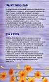 Неподражаемая Кейт Мортон (комплект из 2 книг) - 1