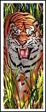 Закладка 3D Tiger Trouble (Листопадова)