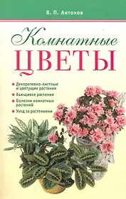 Комнатные цветы