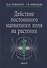 Действие постоянного магнитного поля на растения (Новицкий) - 0