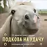 Подкова на удачу. 12 забавных символов года. Календарь настенный на 2026 год (300х300 мм) - 0