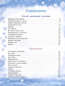 Самый маленький снеговик. Пять зимних сказок. - 2