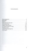 Сила присутствия. Встречи приводящие к трансформации (о Рамане Махарши) - 1
