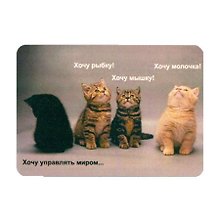 Сувенир МАГНИТИК Магнит 9,5*6,5см "Афоризмы":"Хочу править миром..."