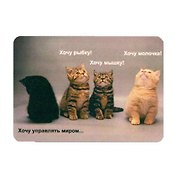 Сувенир МАГНИТИК Магнит 9,5*6,5см "Афоризмы":"Хочу править миром..."