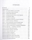 Янтарная комната: Судьба бесценного творения - 1