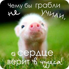Сувенир МАГНИТИК Магнит 6,5*6,5см "Приколы": "Чему бы грабли не учили..."