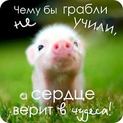 Сувенир МАГНИТИК Магнит 6,5*6,5см "Приколы": "Чему бы грабли не учили..."
