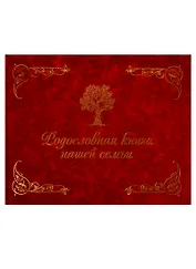 Родословная книга нашей семьи
