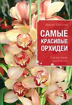Самые красивые орхидеи