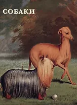 Собаки. Набор открыток