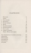 Леонардо и тайна самого известного рисунка в мире - 2