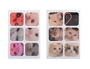 Набор 3D стикеры Котики-3 (6шт) (упаковка)+3D стикеры Котики-2 (6шт) (упаковка)